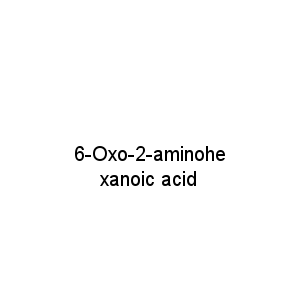 6-Oxo-2-aminohexanoic acid